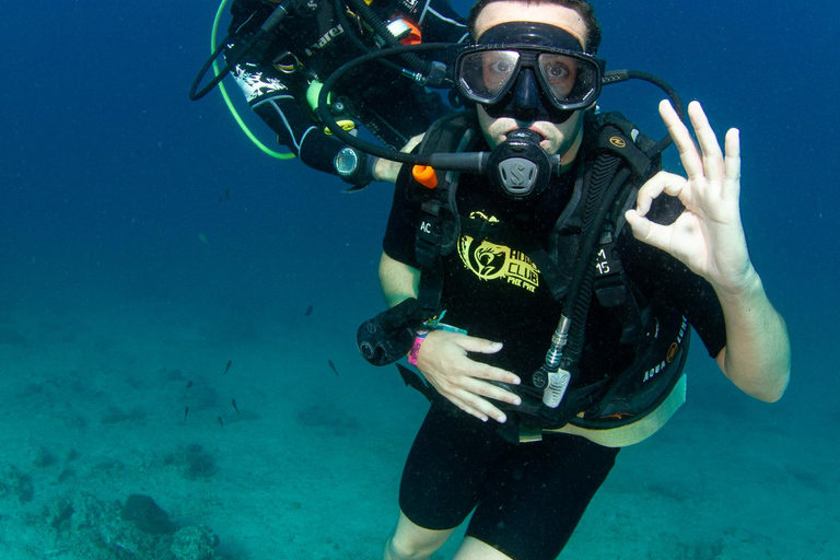 Try Dive Excursion for Beginners: Phi Phi Island