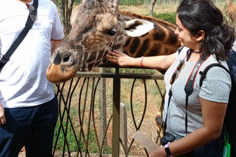 Nairobi: Parco nazionale, orfanotrofio degli elefanti e tour delle giraffe