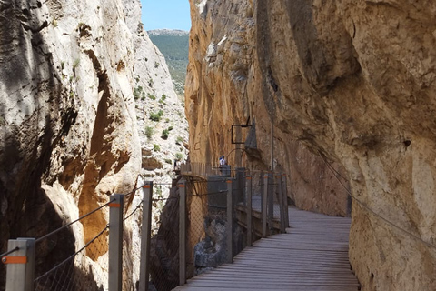From Malaga: Caminito del Rey Sunset Tour with Transfer From Malaga: Caminito del Rey Sunset Tour with Transfer