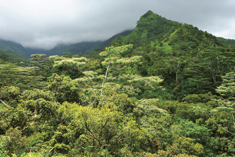 从欧胡岛出发：考艾岛精华游与电影取景地从欧胡岛出发可爱岛亮点和电影景点