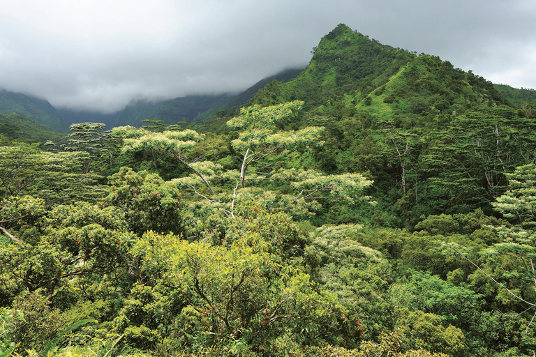 从欧胡岛出发：考艾岛精华游与电影取景地从欧胡岛出发可爱岛亮点和电影景点