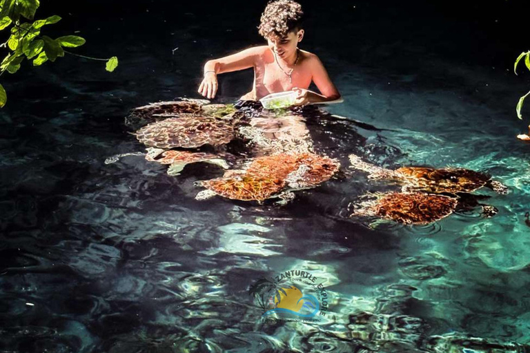 نونغوي: اسبح مع السلاحف في أكواريوم بركة واستمتع برحلة على قارب الداو وقت غروب الشمس