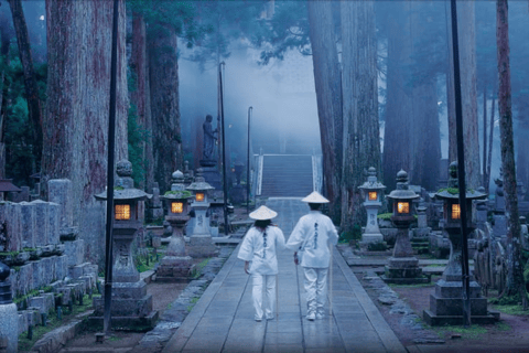 Osaka/Kyoto: Mount Koya &amp; Wakayama Privat dagsutflykt med guideRundresa från Osaka