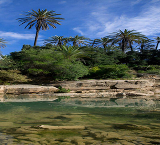 Dolphin World Agadir: Biglietti