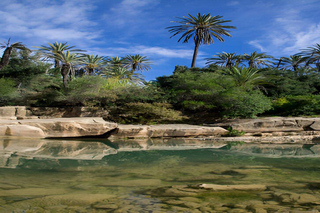 Dolphin World Agadir: Tickets