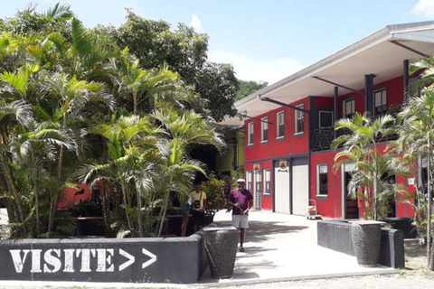 Visit and swim. Rum distillery, river, beach in Le Carbet, private tour Explore the North Caribbean with your driver. Rum Distillery, River, Beach