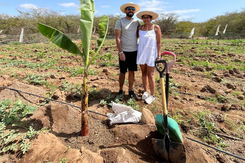 ALL-INCLUSSIVE Cabrer Journey - Lev en dag som en cabrerCabrer Journey - Lev en dag som en cabrer i Boa Vista