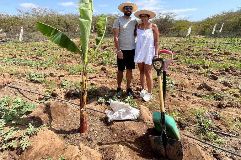 ALL-INCLUSSIVE Cabrer Journey - Lev en dag som en cabrerCabrer Journey - Lev en dag som en cabrer i Boa Vista