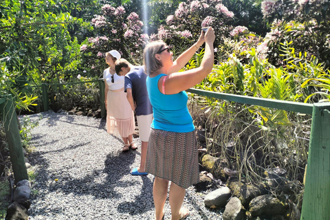 LAUTOKA GUIDED SHORE EXCURSION WITH PORT PICKUP
