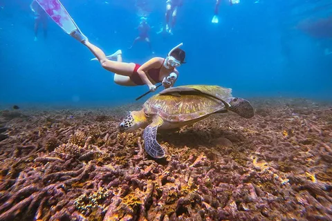 Ko Pha Ngan: Koh Tao & Koh Nangyuan Snorkeling Adventure