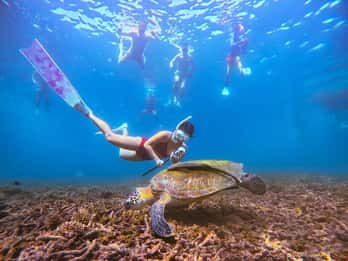 Ko Pha Ngan: Koh Tao & Koh Nangyuan Snorkeling Adventure