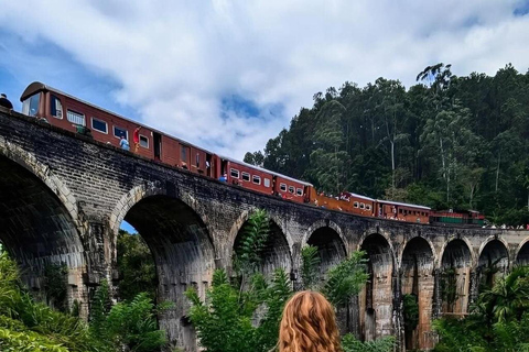From Bentota: Private Ella Highlands Scenic Day Tour