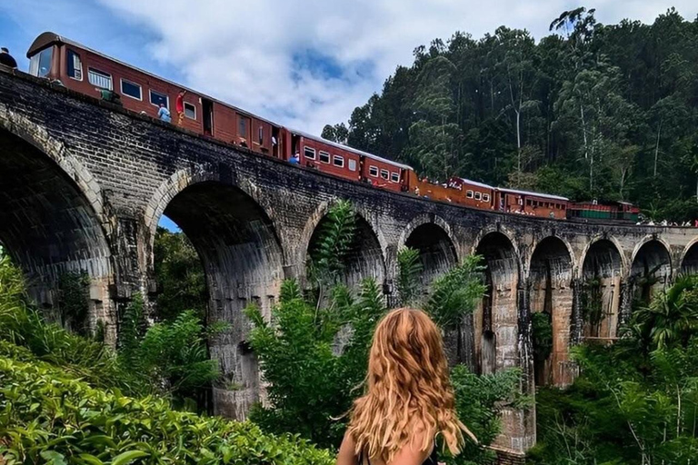 From Bentota: Private Ella Highlands Scenic Day Tour