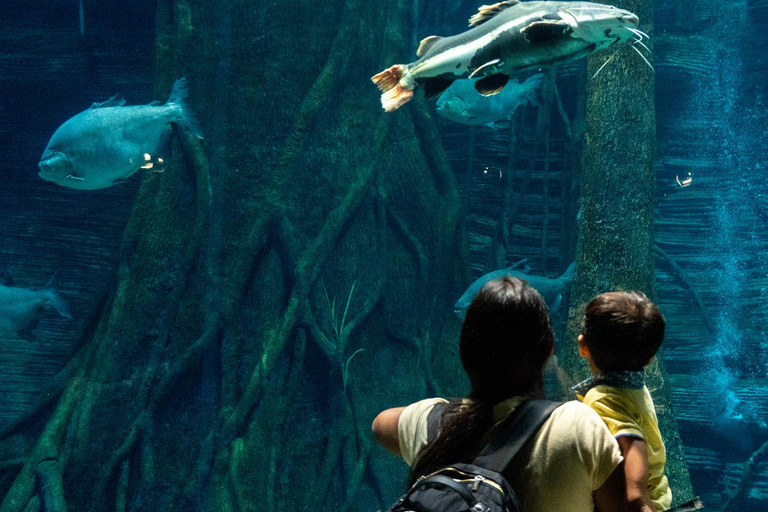 Medellín: Entry to Parque Explora