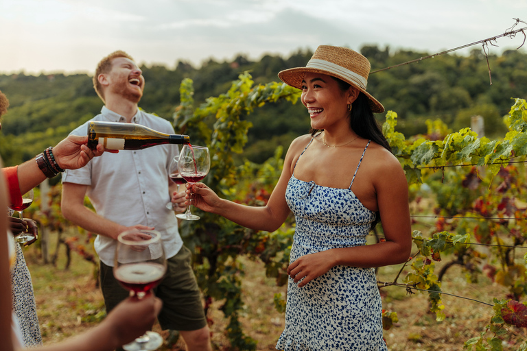 Descoberta de vinhos em Swan Valley: excursão privada saindo de Perth