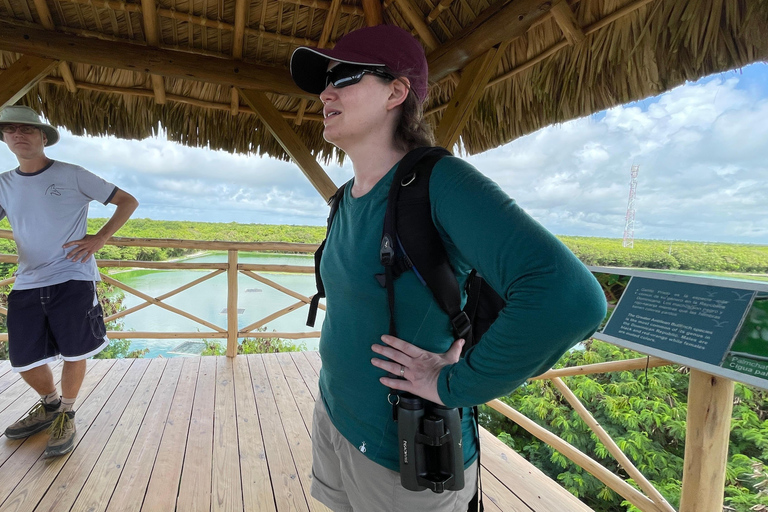 Punta Cana: Ecological Reserve 4x4 Tour with Tastings