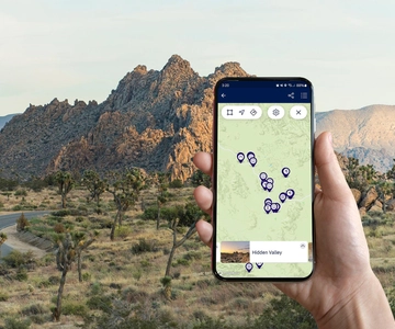 Journey into Joshua Tree: Audio Driving Tour and Local Guide