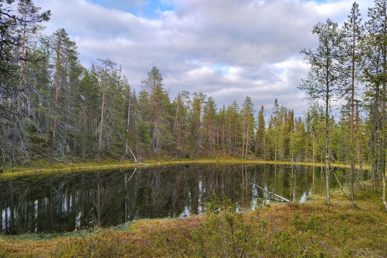 Lapponia: Escursione guidata nella natura incontaminata di Luosto