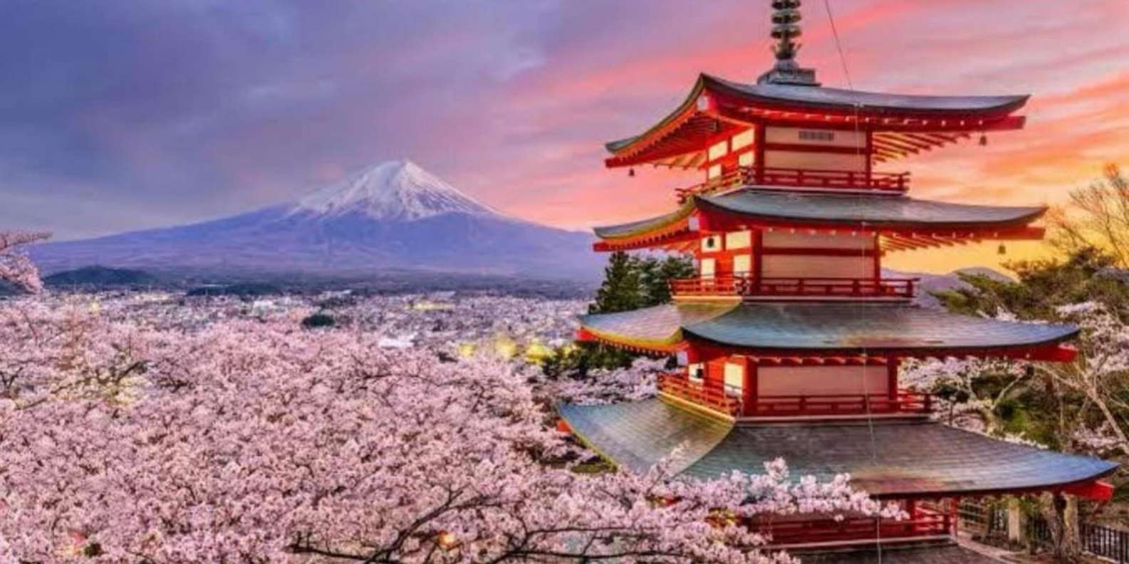 From Tokyo: Mount Fuji Full Day Private Customized Tour