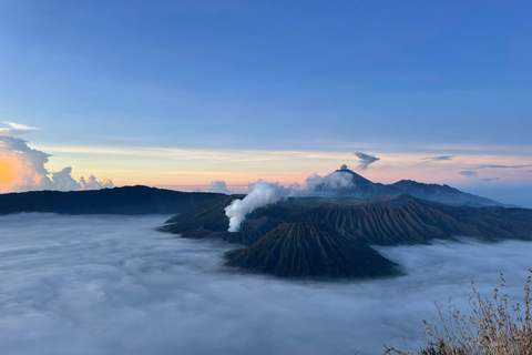 Utforska Bromo och Ijen-kratern 3D/2N (delad tur)