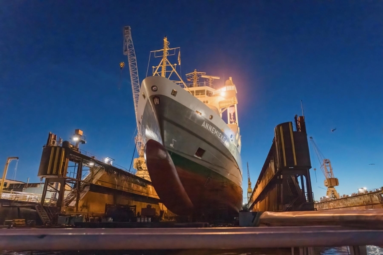 Hamburg: 1,5-godzinny rejs dużym statkiem przy wielkich wieczornych światłach