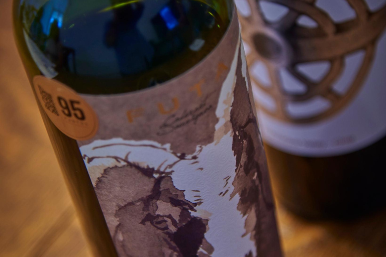 Colchagua Valley: Private Tour