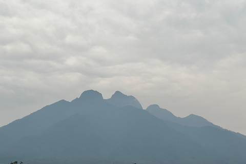 1 Day Gorilla Trek & Karisoke Research Center, Volcanoes NP