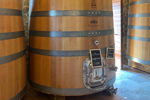 Florence: Pisa, Siena, & San Gimignano Day Trip with Lunch VIP SMALL GROUP