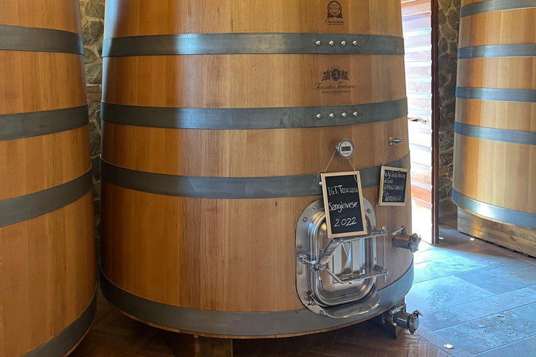 Florence: Pisa, Siena, & San Gimignano Day Trip with Lunch VIP SMALL GROUP