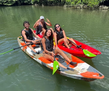 Iriomote island: Mangrove River Canoe Cruising Tour