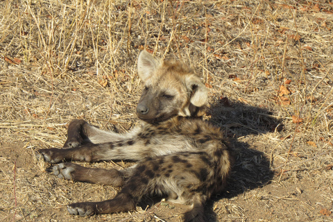 Cataratas Victoria, Hwange y Chobe: safari económico de 7 días