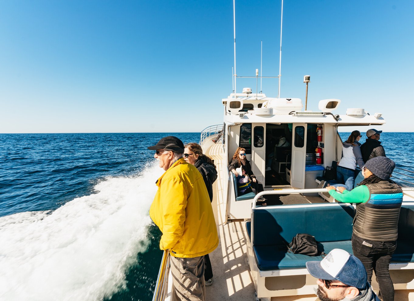 Monterey Bay: Tur med hvalsafari