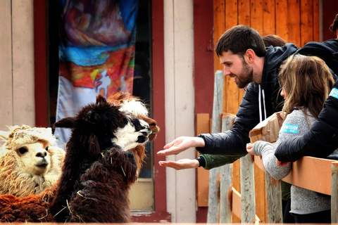 From Skagway: Wild Adventure Yukon Day Trip with BBQ Lunch