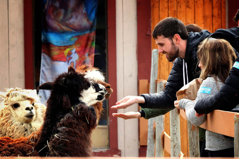 From Skagway: Wild Adventure Yukon Day Trip with BBQ Lunch