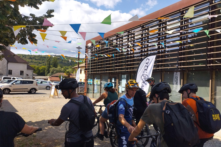 Electric-assisted mountain biking