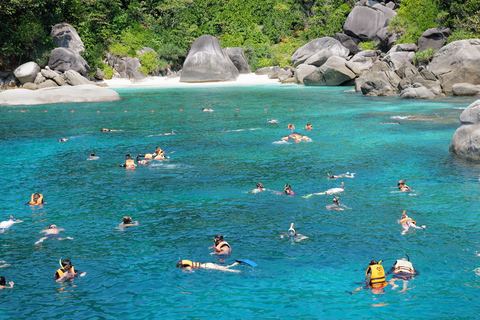 Phuket/Khao Lak: Snorkel Bliss to Similan Island by Powercat Hotel pickup in Khao Lak