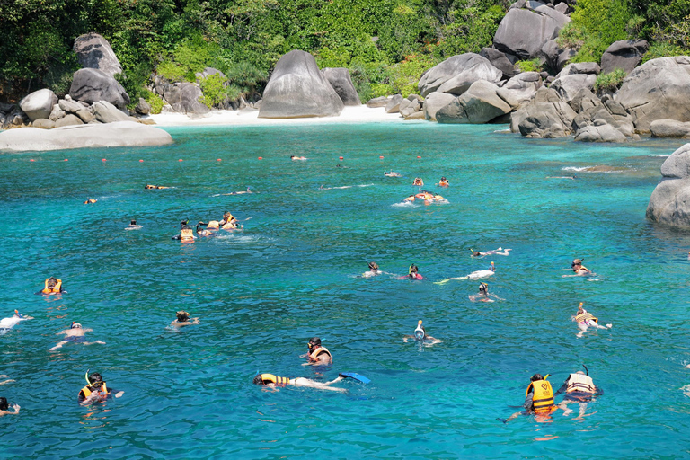 Phuket/Khao Lak: Snorkel Bliss to Similan Island by Powercat Hotel pickup in Khao Lak