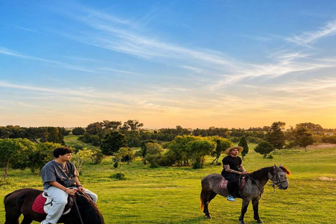 Hammamet: Sunset Horseback Riding Experience with Cocktail