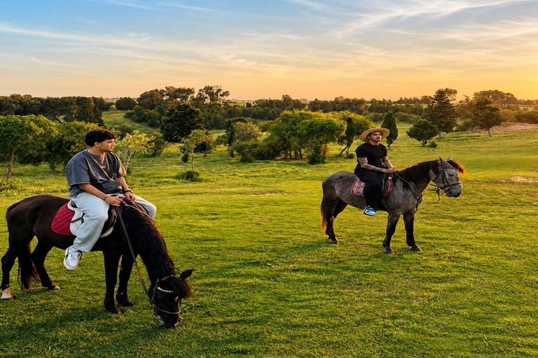 Hammamet: Sunset Horseback Riding Experience with Cocktail