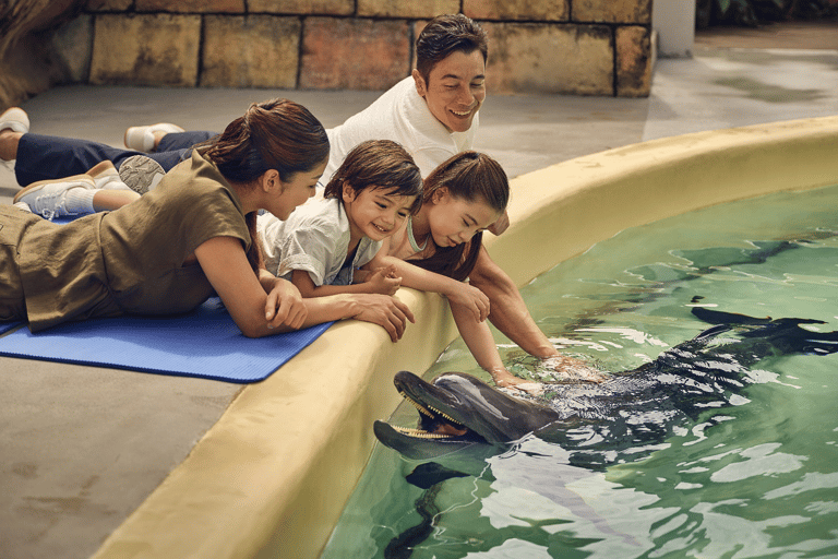 Singapur: Bilet wstępu do Oceanarium w SingapurzeBilet wstępu poza godzinami szczytu