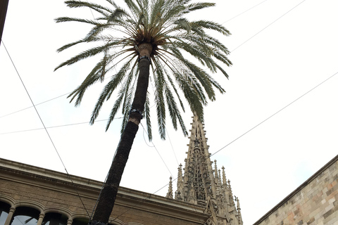 Barcelona Gothic WalkingTour: Roman Walls & Hidden Courtyard Small Group Tour