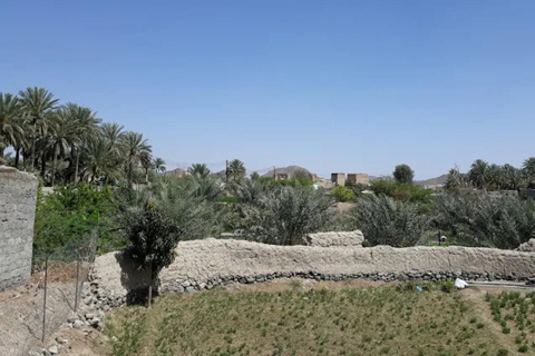 Muscat: Desert Overnight Camping, Wadi & Ibra Village & Souk