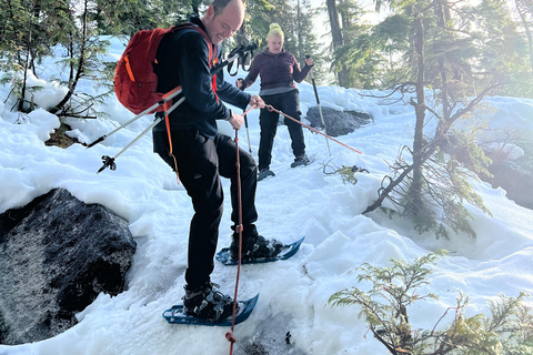 Schneeschuhwandern an der Spitze der Sea to Sky Gondel