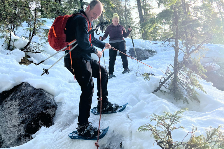 Schneeschuhwandern an der Spitze der Sea to Sky Gondel