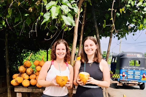 Da Colombo: tour privato all-inclusive di un giorno a Galle e MirissaGalle: tour privato di un giorno lungo la costa meridionale con snorkeling