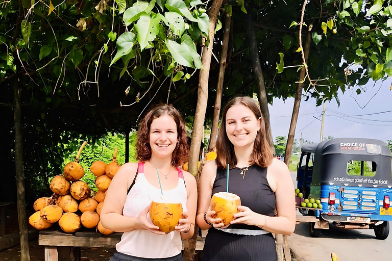 Da Colombo: tour privato all-inclusive di un giorno a Galle e MirissaGalle: tour privato di un giorno lungo la costa meridionale con snorkeling