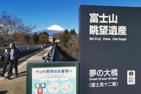 Osaka to Tokyo 3-Day Private Tour: Luxury Alphard & Mt. Fuji