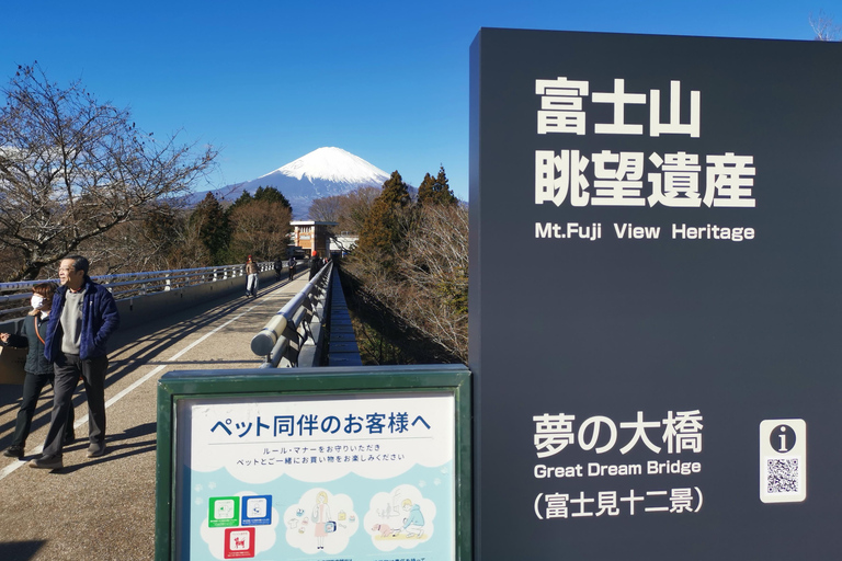 Osaka to Tokyo 3-Day Private Tour: Luxury Alphard & Mt. Fuji