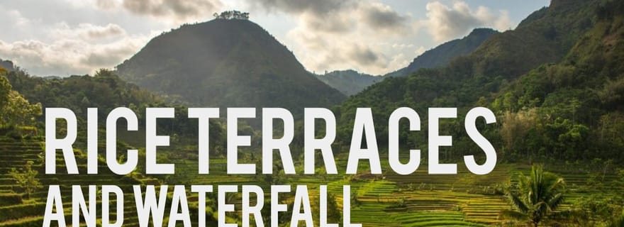 Randonnée dans les rizières en terrasses de Yogyakarta et chute d'eau de Kedungkayang