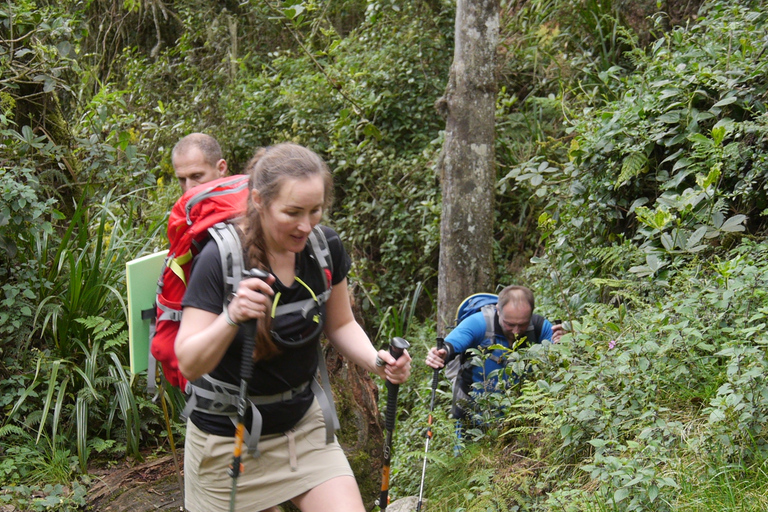 Kilimanjaro: Marangu route 6 days climb all inclusive Kilimanjaro: Marangu route 6 days climb